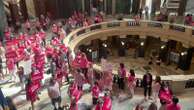 Wisconsin's high court to hear oral arguments on whether an 1849 abortion ban remains valid