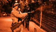 Valery Hache/AFP via Getty ImagesNew York confirms 1st locally acquired case of chikungunya virus in 6 years in USThe mosquito-borne disease is most common in tropical and subtropical regions.3 minutes ago