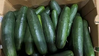 New salmonella outbreak tied to same Florida grower with tainted cucumbers last year