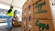 Largest US egg producer temporarily halts production due to avian fluWhat to know about the outbreak and biosecurity measures. 4/3/2024 05:53:40