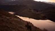 The tiny African nation of Lesotho had victories in its HIV fight. Then, the US aid cuts came