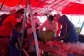 Mensos Risma Bagi-bagi Ribuan Telur Matang pada Warga Tak Mampu