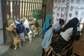 10 Potret Kocak Orang Mengintip Urusan Orang Lain, Kepo Maksimal!