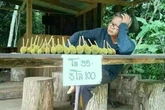 10 Potret Benda dengan Bentuk Mini, Dipikir Ini Dunia Para Liliput?