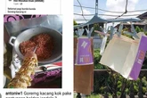 10 Meme Konsep Merendah untuk Meroket, Budaya Pamer yang Terselubung