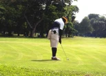 IGC to honour Makinde, Oyinlola at 30