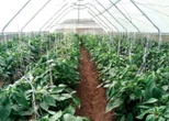 GNDA boss wants all Nigerians to embrace farming