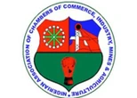 New NACCIMA chief okays PIB