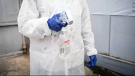 Rośnie liczba ofiar epidemii. WHO ogłosiła stan zagrożenia