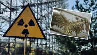 Zniknęła butelka z radioaktywną substancją. Ogłoszono alarm