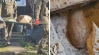 Legenda okazała się prawdą. Przez osiemdziesiąt lat spali na bombie