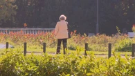 Zaskakujące przywileje po sześćdziesiątce. Pomogą dopiąć budżet 