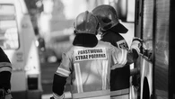 Śmierć druha po groźnej akcji. "Usuwał gniazdo"