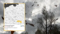 IMGW ostrzega. Silny wiatr i mgły w wielu regionach kraju
