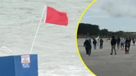Czerwone flagi? I tak wchodzą do wody. "Opamiętajcie się"