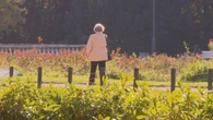 Renta wdowia dla Polaków w Niemczech. Mogą otrzymać zaskakująco dużo