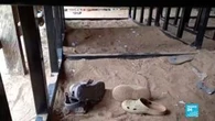 Nouveau rapt d'écoliers au Nigéria : des dizaines d'élèves kidnappés dans une école musulmane