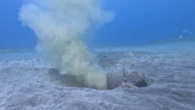 Cauchemar au paradis : aux îles Canaries, la crise des eaux usées