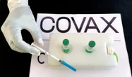 Vaccins : le dispositif Covax espère recevoir 250 millions de doses en six à huit semaines