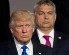 Будапешт здувся. Трамп оскаженів і хоче взяти Путіна за барки та вирішальне слово за Китаєм