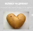 Велика чи дрібна зі шкіркою: яка картопля корисніша для фігури та здоров'я