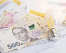 Підстав для підвищення тарифів на газ і світло у 2026 році немає - Нагорняк