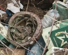 "Привозять м'ясо": Жорін прокоментував людські спроможності російської армії