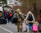 Швеція пропонує рекордну суму мігрантам для повернення на батьківщину