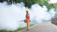 In Cina torna l'incubo della quarantena: virus chikungunya ha già colpito 7mila persone. I sintomi