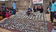 Fame, guerra e clima in Darfur: le cifre della crisi umanitaria di El-Fasher assediata