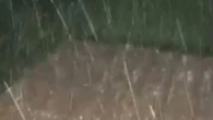 Piogga battente nel canavese in Piemonte: il video da una finestra