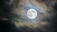 Luna dei fiori nel cielo del primo maggio: rinascita, crescita e abbondanza