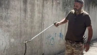 Paura all'asilo nido, una vipera si aggira nel giardino. Il momento della cattura
