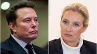 Germania, Musk a gamba tesa in campagna elettorale con editorale sulla Welt: ecco perché votare Afd