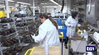 Istat, ancora in calo il tasso di disoccupazione: 5,6% a dicembre 