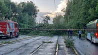 Violento nubifragio su Milano, decine di alberi caduti: oltre cento chiamate ai vigili del fuoco
