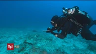 Italiani morti in immersione alle Maldive, oggi riprendono le ricerche con 3 sub esperti finlandesi