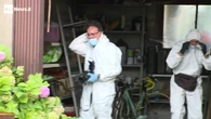 Omicidio di Gemona, 35enne ucciso e fatto a pezzi: forse futili motivi all'origine della tragedia
