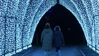Londra si prepara al Natale: lo spettacolo di luci ai Kew Gardens
