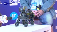 Può nascere amicizia tra robot e umani? Ecco la storia del cane "Robotolo"