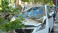 Milano, albero si abbatte su chiosco durante nubifragio: il day after