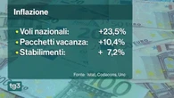 Istat: Pil secondo trimestre -0,1%.  Il carrello della spesa sale del 3,5%