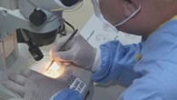 A Cuba è epidemia di dengue, chikungunya e oropouche: ospedali al collasso