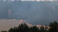 Israele: "Incendi sotto controllo". Le fiamme non hanno raggiunto Gerusalemme