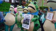 Dalle rane agli unicorni: i costumi gonfiabili irridono il potere di Trump nelle proteste No Kings