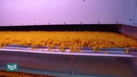 In arrivo superdazio al 107% per la pasta italiana, gli Usa accusano i produttori di dumping
