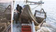 Fiumicino, affonda una vongolare: recuperati i corpi dei due pescatori a bordo