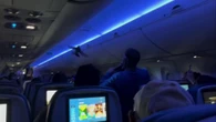 Due piccioni entrano nella cabina dell’aereo: caos tra i passeggeri prima del decollo 