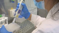 Hantavirus, le indicazioni del ministero
