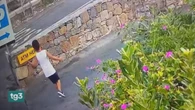 I cani molecolari seguono tracce di Alain, conducono a una villa